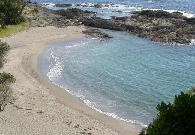 Nudist beach plan causes uproar